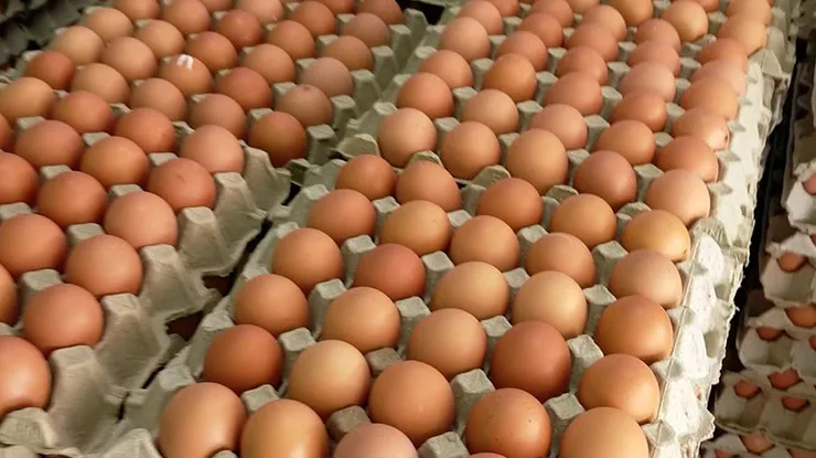 Harga Telur Ayam Sepapan Mengikut Gred di Malaysia