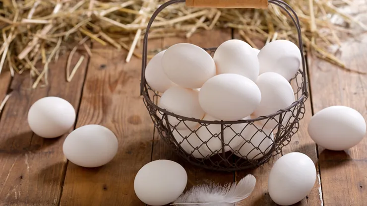 Harga Telur Ayam Kampung