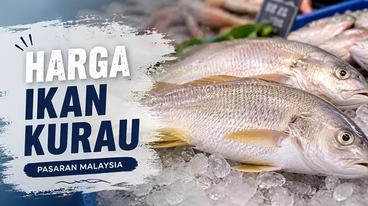 Harga Ikan Kurau