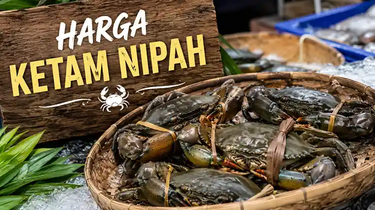 Harga Ketam Nipah