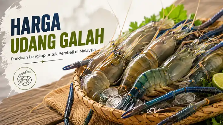 Harga Udang Galah
