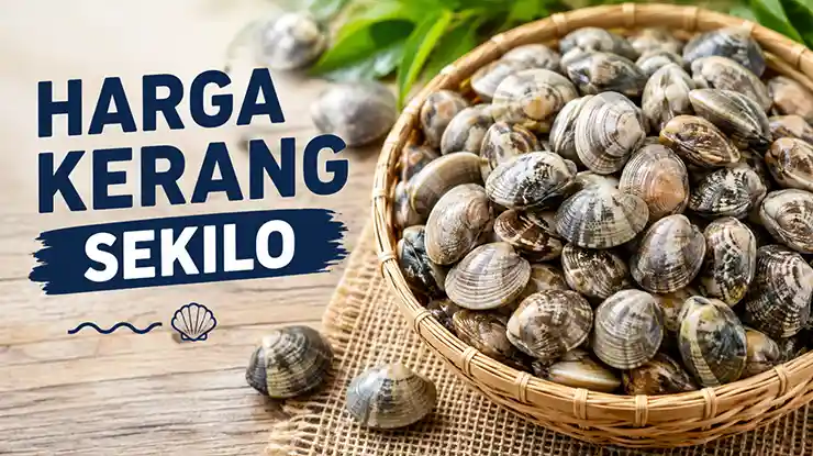 Harga Kerang Sekilo