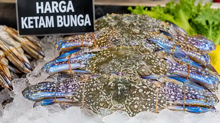 Harga Ketam Bunga